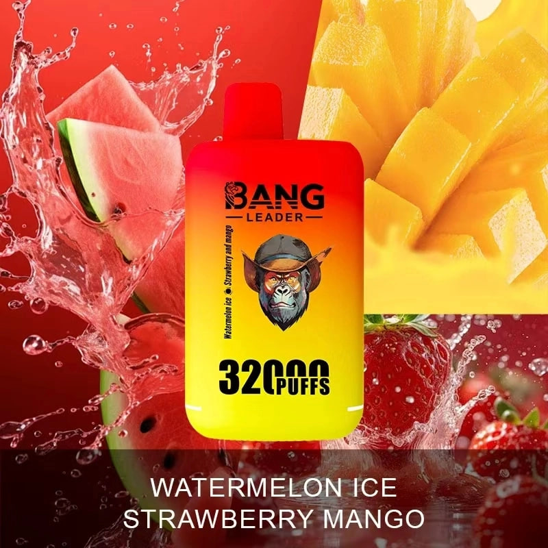Bang Leader 32000 デュアルフレーバー